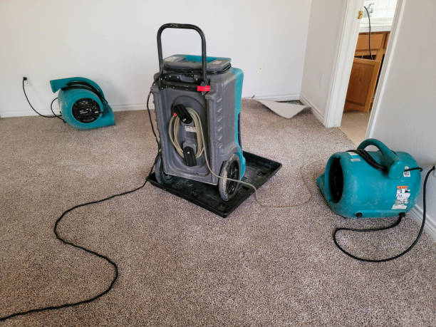 Best Residential water damage restoration  in Olivia, MN