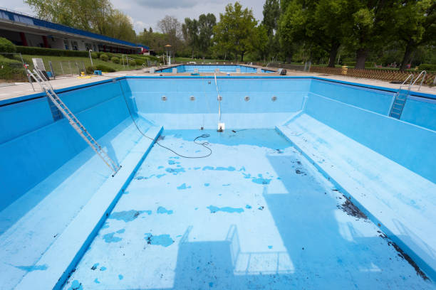 Best Water damage restoration process  in Olivia, MN