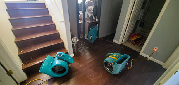 Best Emergency water damage restoration  in Olivia, MN
