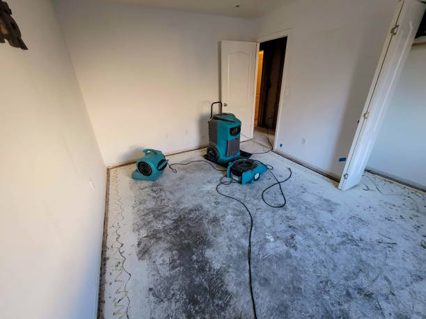 Best Commercial water damage restoration  in Olivia, MN