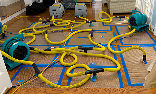 Water damage restoration process in Olivia, MN