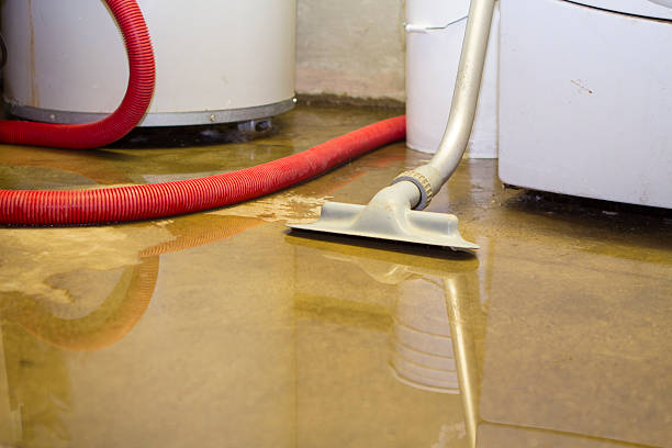 Reliable Olivia, MN Water damage restoration Solutions
