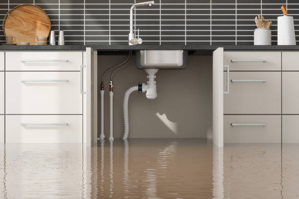 Best Sewage cleanup and water damage restoration  in Olivia, MN