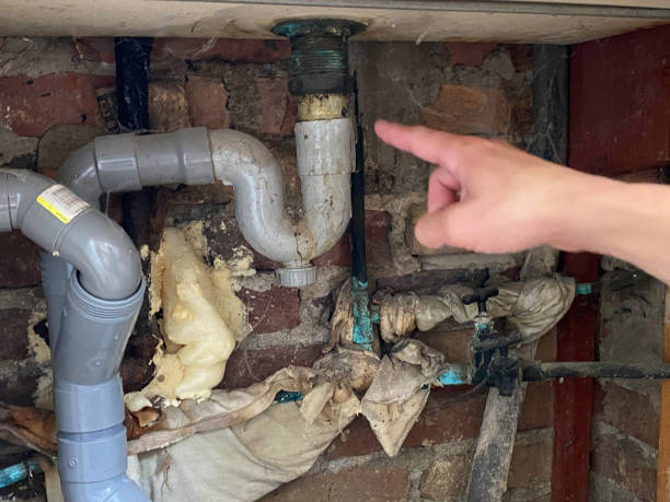 Best 24/7 water damage repair  in Olivia, MN